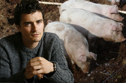 Orlando Bloom The Lord of Rings Actor Has a Swinophobia