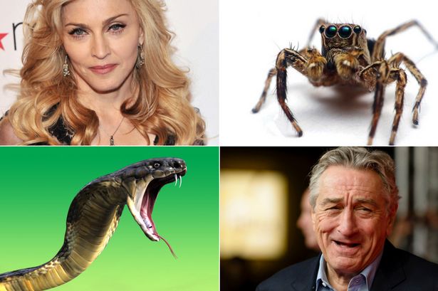 Real-Life Celebrity Phobias
