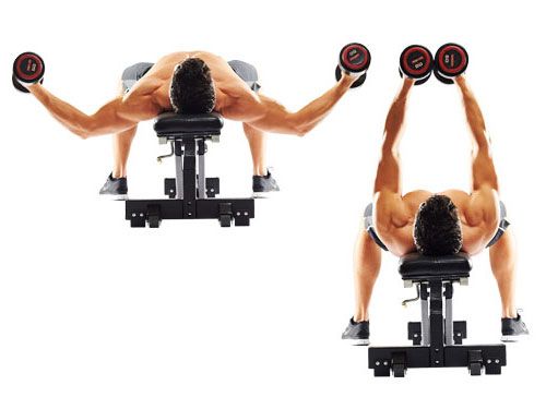 Flat Dumbbell Fly. Workout to Build a Bigger Chest