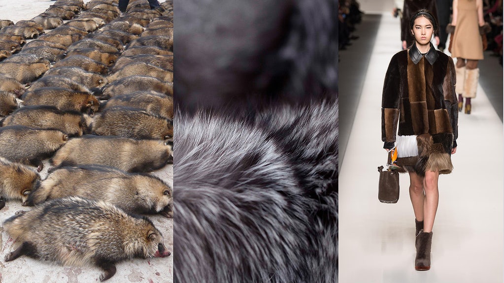Is the End of Fur Industry Near. Fur Industry Statistics 2020
