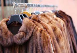 Fur-Free Future. Fur Industry Statistics 2020